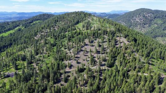 Lot 1 Randall Rd, Colville, Washington 99114