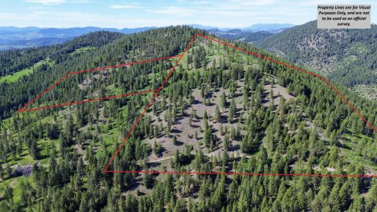 Lot 1 Randall Rd, Colville, Washington 99114