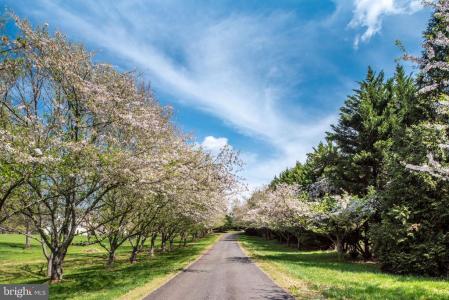 Lot 23 Hawthorne Drive, Rapidan, Wirginia 22733, USA