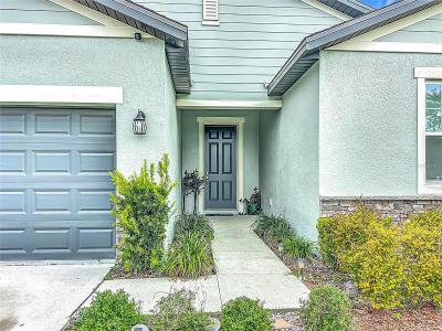711 Steerview Street, St Cloud, Florida 34771, Amerika Birleşik Devletleri