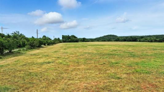 Tract 5 10.114 Acres Goen Road, Millsap, Texas 76066, États-Unis