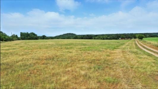 Tract 5 10.114 Acres Goen Road, Millsap, Texas 76066, USA