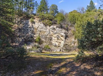 15528 Ca-49, Camptonville, 加州 95922, 美國
