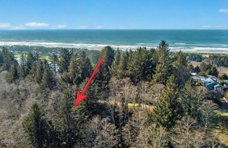 VL 6500 Hill Crest Drive, Neskowin, Oregon 97149, Amerika Birleşik Devletleri