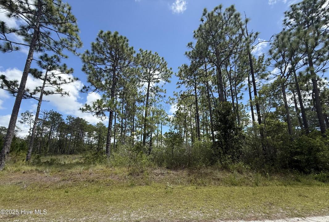407 Sunset Road, Boiling Spring Lakes, North Carolina 28461, USA