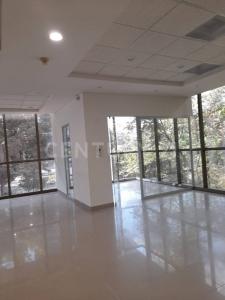 Medellín, Antioquia 0000, Colombia