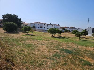 Vila Nova da Barquinha, Santarém 2260-040, Portugal