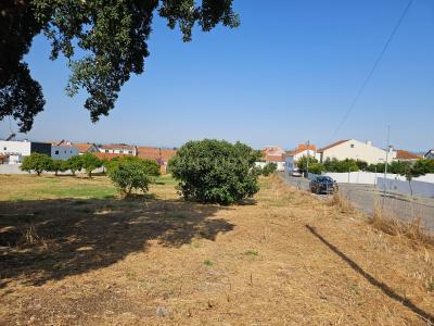 Vila Nova Da Barquinha, Santarem 2260-040, Portugal