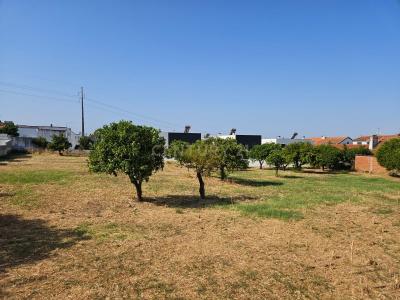 Vila Nova da Barquinha, Santarém 2260-040, Portugal