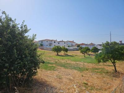 Vila Nova Da Barquinha, Santarem 2260-040, Portugal