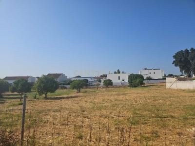 Vila Nova Da Barquinha, Santarem 2260-040, Portugal