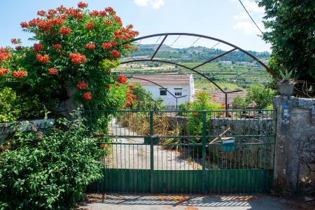 Tabuaço, Viseu 5120-082, Portugal