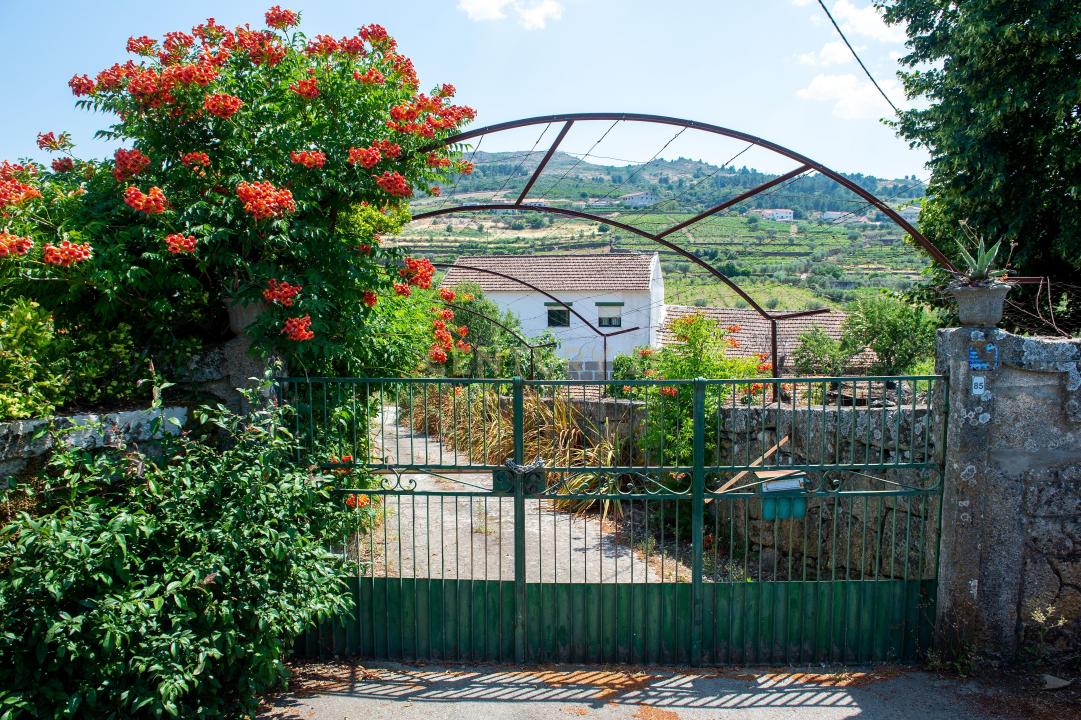 Tabuaço, Viseu 5120-082, Portugal