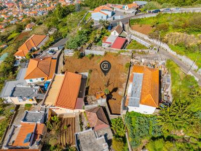 Funchal, Madeira 9060-311, Bồ Đào Nha
