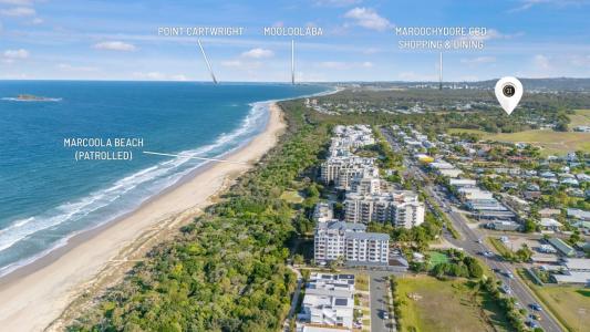 2/840 David Low Way, Marcoola, QLD 4564, أستراليا 