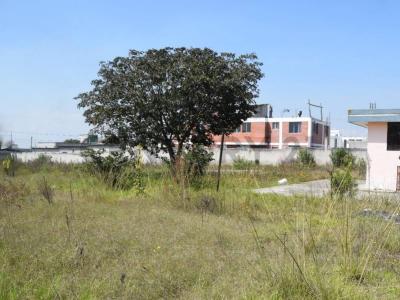 Quito, Pichincha 00001, Ecuador