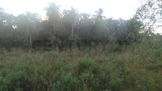 maria de jesus , Pirayú, Paraguarí 00001, Paraguay