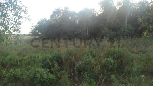 maria de jesus , Pirayú, Paraguarí 00001, 巴拉圭