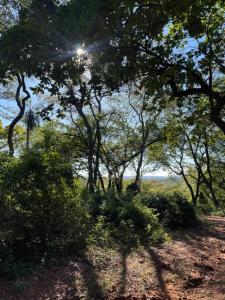 BOSQUES DE HERMANN, Areguá , Areguá, Central 00001, Paraguay