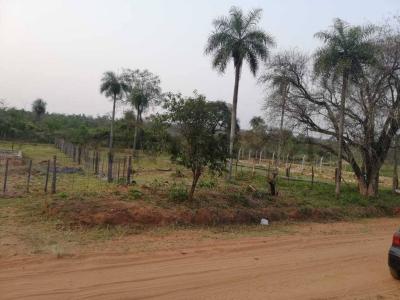 Caacupé, Cordillera 00001, Paraguay