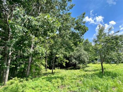 Ch. Mountain, Bolton-Est, 퀘벡주 J0E 1G0, 캐나다