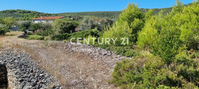 Dobropoljana, Otočka cesta, Pašman, Zadarska Županija 23264, Hırvatistan