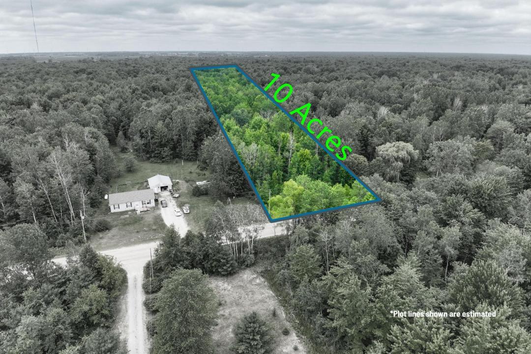 3162 S Alamando Road, St. Louis, Мичиган 48880, Соединенные Штаты
