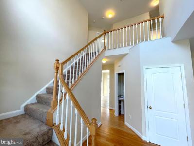 41555 Singletree Drive, Leonardtown, מרילנד 20650, ארצות הברית של אמריקה