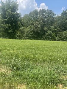 0 Summerlake Ct, Lot 4, Winchester, Tennessee 37398, USA