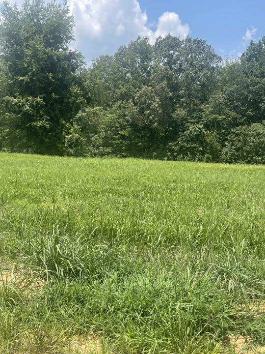 0 Summerlake Ct, Lot 4, Winchester, 테네시 37398, 미국