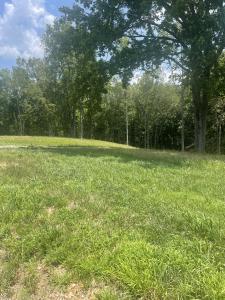 0 Summerlake Ct, Lot 10, Winchester, Tennessee 37398, USA