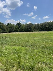 0 Summerlake Ct, Lot 12, Winchester, Tennessee 37398, USA