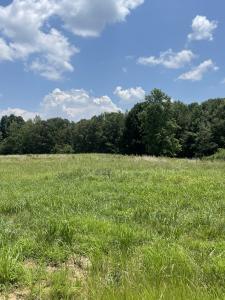0 Summerlake Ct, Lot 14, Winchester, Tennessee 37398, USA