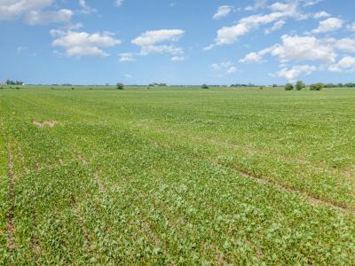 5 Acres Grove Road, Minooka, Illinois 60447