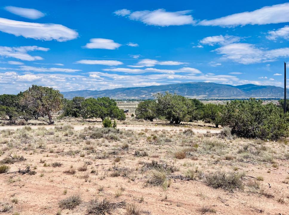 Lots 3 & 4 Blk BX Cedar Valley Acres, Cedar City, 犹他州 84721, 美国