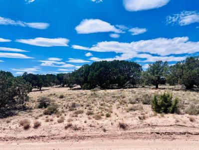 Lots 3 & 4 Blk BX Cedar Valley Acres, Cedar City, 犹他州 84721, 美国