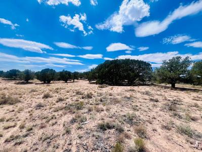 Lots 3 & 4 Blk BX Cedar Valley Acres, Cedar City, 犹他州 84721, 美国