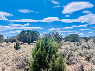 Lots 3 & 4 Blk BX Cedar Valley Acres, Cedar City, 犹他州 84721, 美国