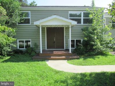 283 Riverdale Road, Severna Park, 메릴랜드 21146, 미국