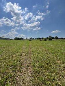 00 New Columbia Road Lot #2 (2.669 acres), Campbellsville, Кентуки 42718, Соединенные Штаты