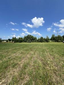 00 New Columbia Road Lot #2 (2.669 acres), Campbellsville, Кентуки 42718, Соединенные Штаты