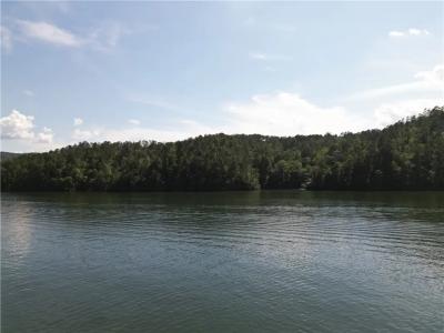 767 Lake Yonah Reservoir, Wesminster, South Carolina 29693, USA