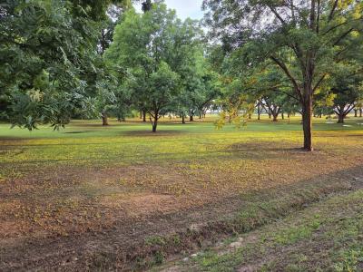 1535 Lattus Ln, Union City, Tennessee 38261, HOA KỲ