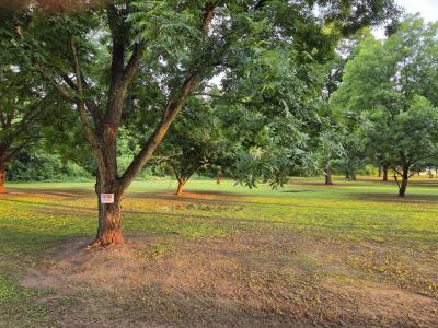 1535 Lattus Ln, Union City, Tennessee 38261, HOA KỲ