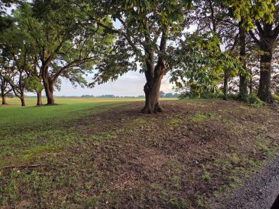 1535 Lattus Ln, Union City, Tennessee 38261, HOA KỲ