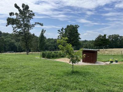 385 Walnut Grove Circle, Mammoth Spring, 阿肯色州 72554, 美国