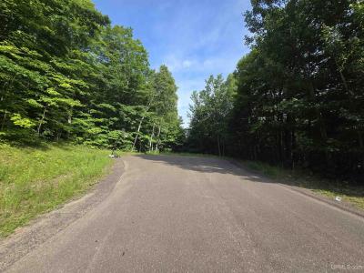 1906 White Oak, Houghton, Michigan 49931