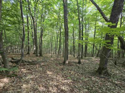 1906 White Oak, Houghton, Michigan 49931