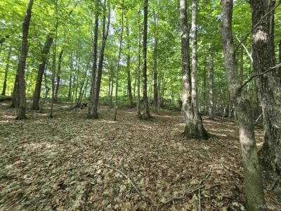 1906 White Oak, Houghton, Michigan 49931, USA