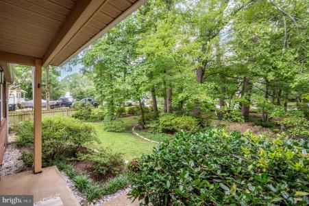 116 Pilgrim Cove, Stafford, וירג'יניה 22554, ארצות הברית של אמריקה 